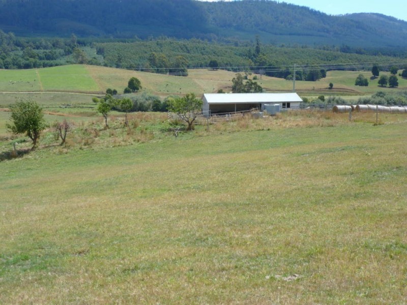 * Tasman Highway, Springfield, Scottsdale TAS 7260