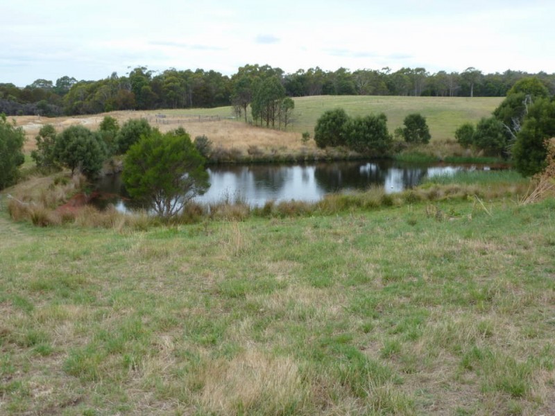 1438 Bridport  Road, Bridport TAS 7262