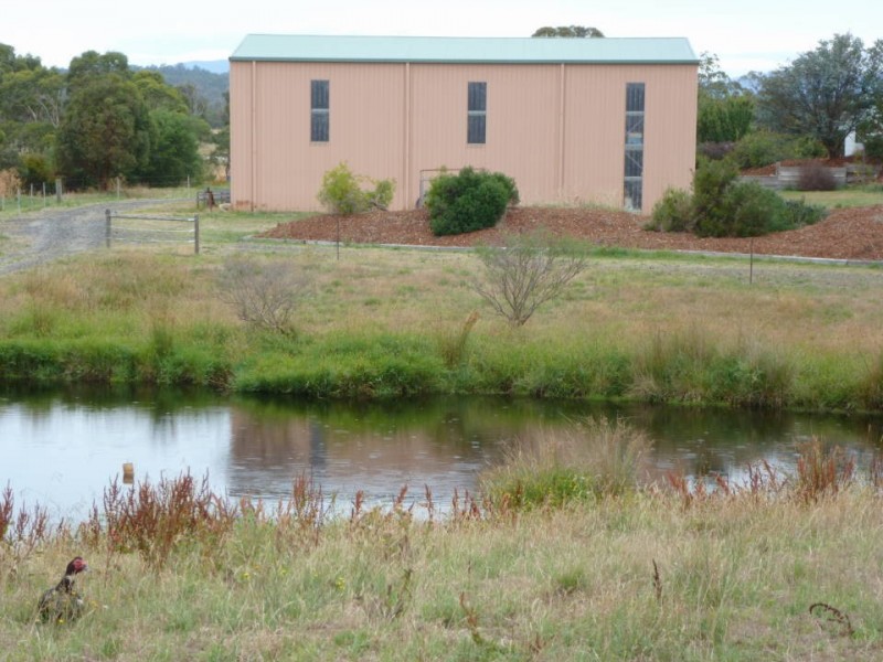 1438 Bridport  Road, Bridport TAS 7262