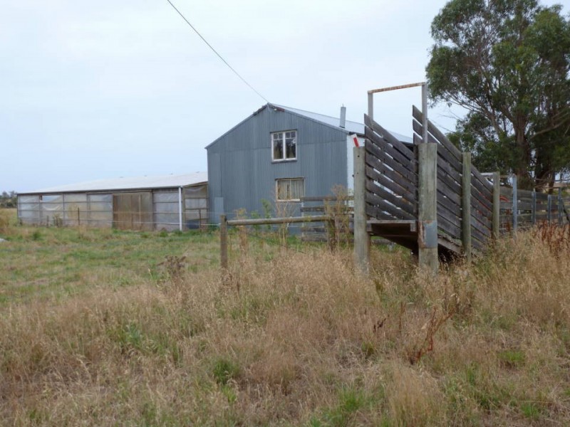 1438 Bridport  Road, Bridport TAS 7262