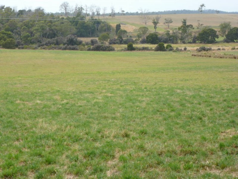 1438 Bridport  Road, Bridport TAS 7262