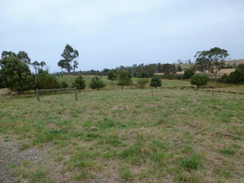 1438 Bridport  Road, Bridport TAS 7262