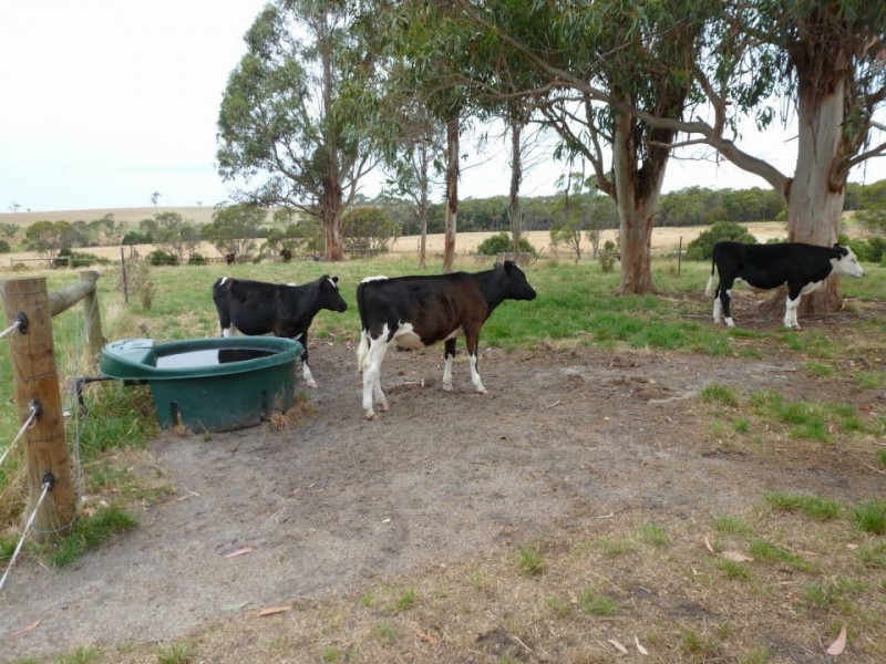 1438 Bridport  Road, Bridport TAS 7262