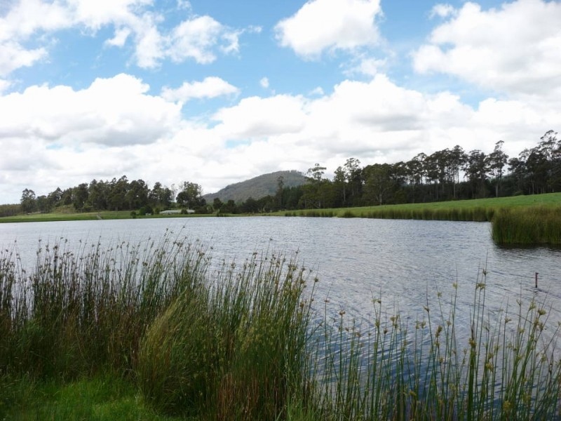 310 Mackenzie Valley Rd, Cuckoo, Scottsdale TAS 7260