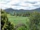310 Mackenzie Valley Rd, Cuckoo, Scottsdale TAS 7260