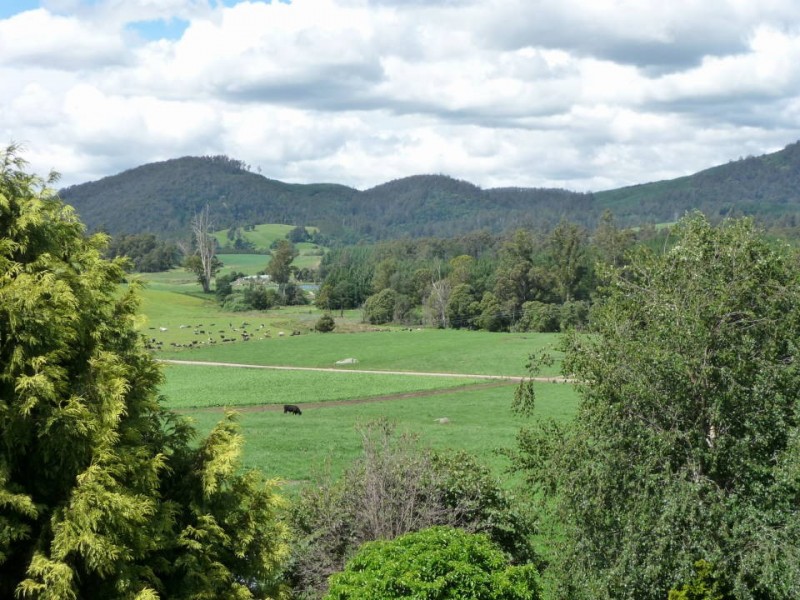 310 Mackenzie Valley Rd, Cuckoo, Scottsdale TAS 7260