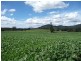 310 Mackenzie Valley Rd, Cuckoo, Scottsdale TAS 7260