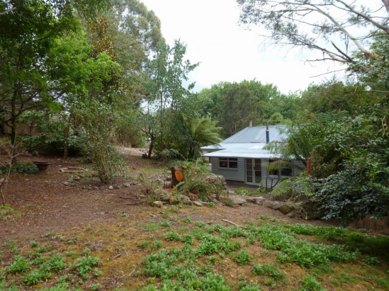 54 Main Street, Derby TAS 7264