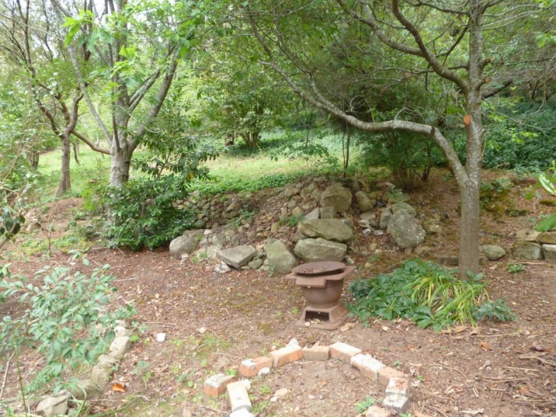 54 Main Street, Derby TAS 7264