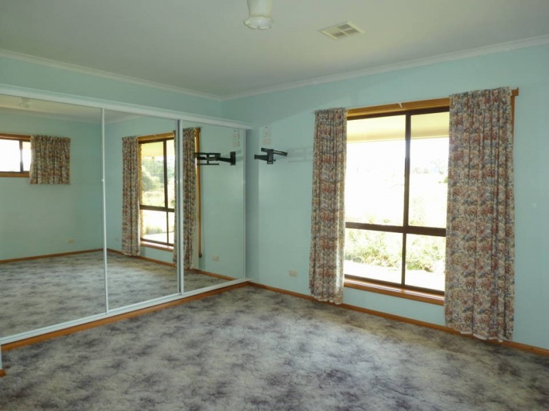 123 South Springfield Road, Springfield, Scottsdale TAS 7260
