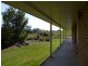 123 South Springfield Road, Springfield, Scottsdale TAS 7260