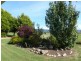 123 South Springfield Road, Springfield, Scottsdale TAS 7260