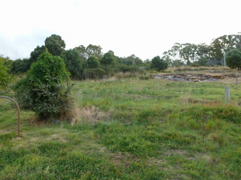 3 Bruce Street, Derby TAS 7264