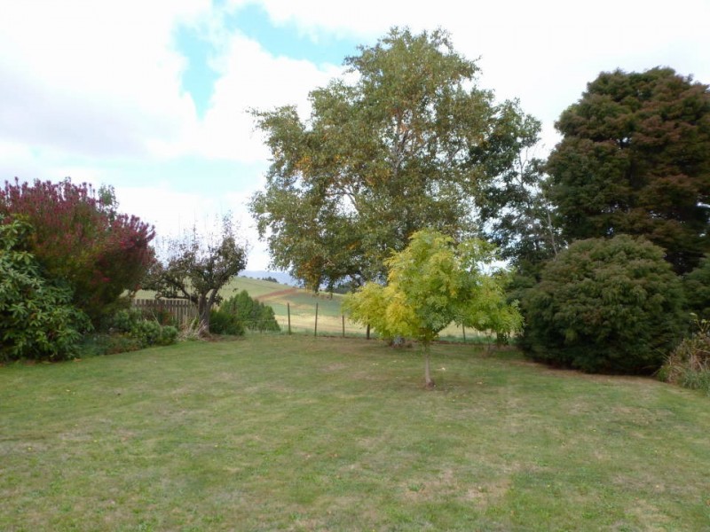 392  Bridport  Road, Jetsonville, Scottsdale TAS 7260