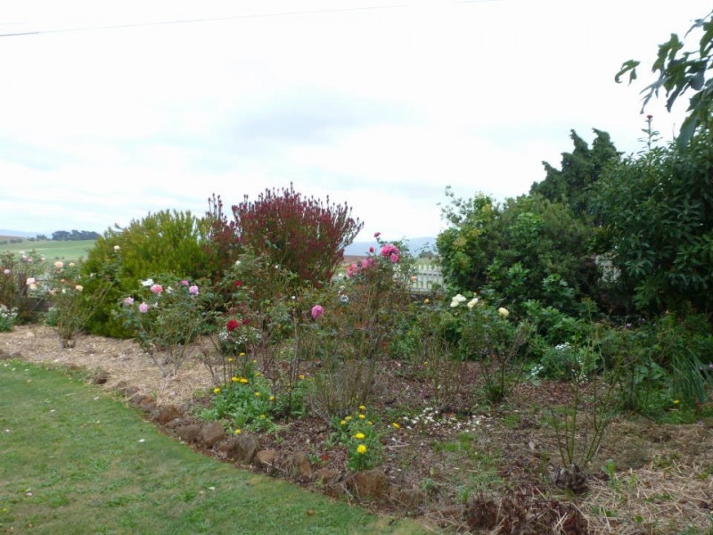 392  Bridport  Road, Jetsonville, Scottsdale TAS 7260