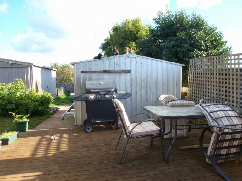 15 Alfred Street, Scottsdale TAS 7260
