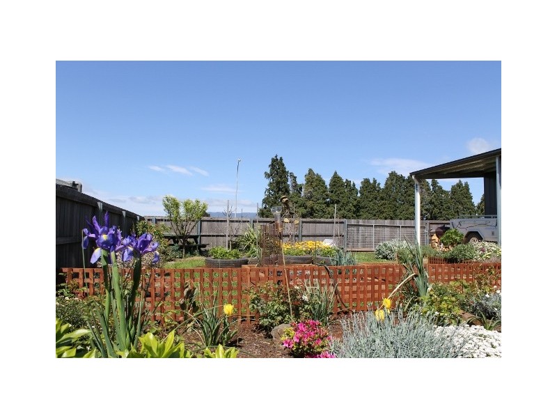 8 Barclay Drive, Scottsdale TAS 7260