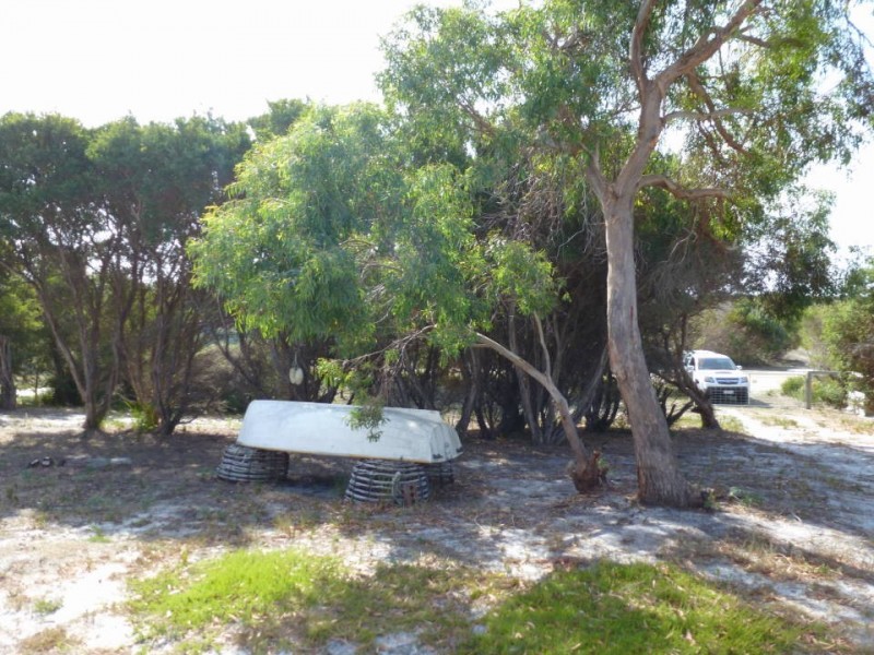 18 Cygnet  Street, Musselroe Bay TAS 7264