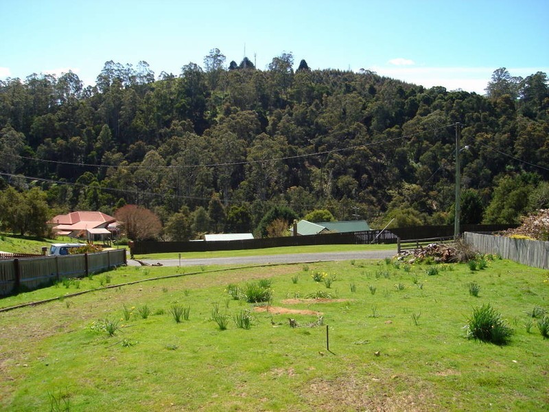 17 Renison Street, Derby TAS 7264