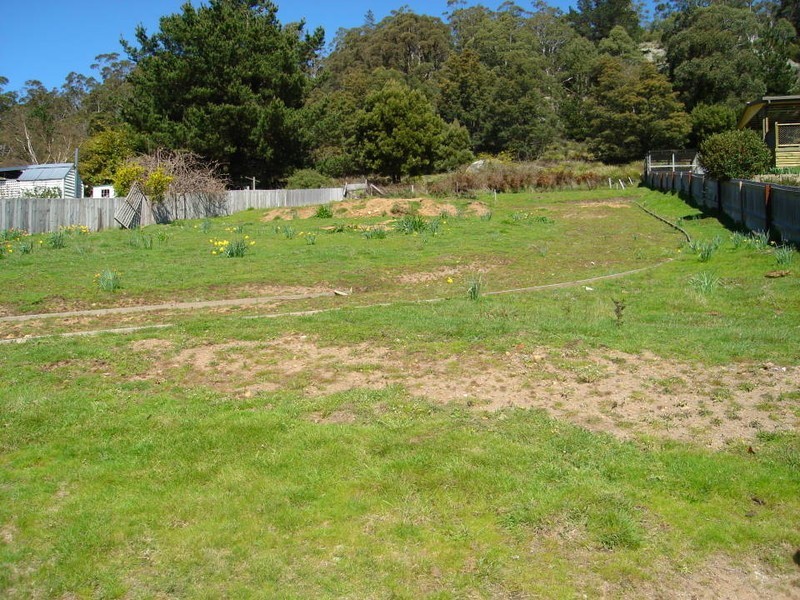 17 Renison Street, Derby TAS 7264