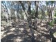 63 Joyce Street, Hawley Beach TAS 7307