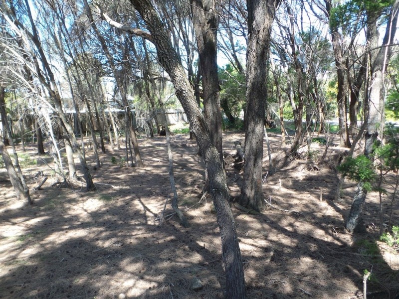 63 Joyce Street, Hawley Beach TAS 7307