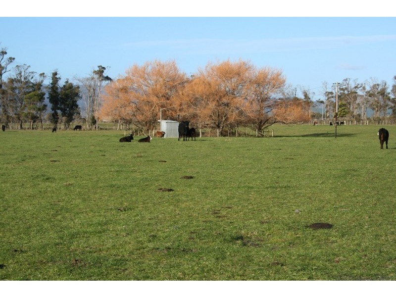 200 Woodbury Lane, Thirlstane TAS 7307