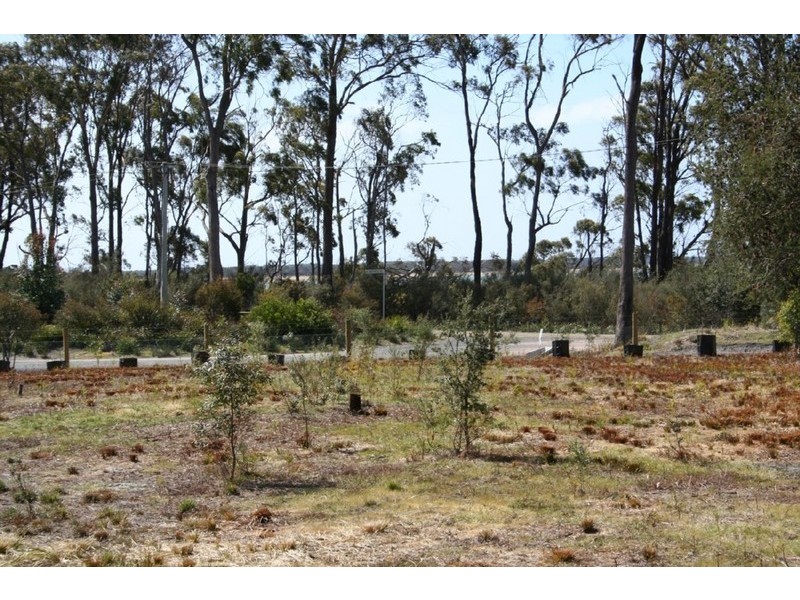 Lot 9 Anstey Street, Squeaking Point TAS 7307