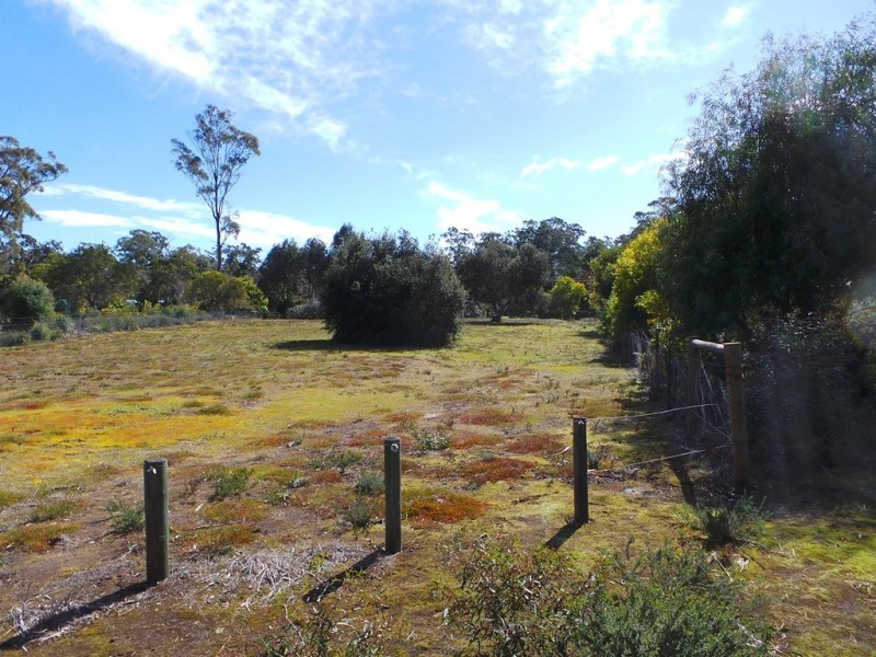 142 Charles Street, Squeaking Point TAS 7307