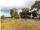 142 Charles Street, Squeaking Point TAS 7307