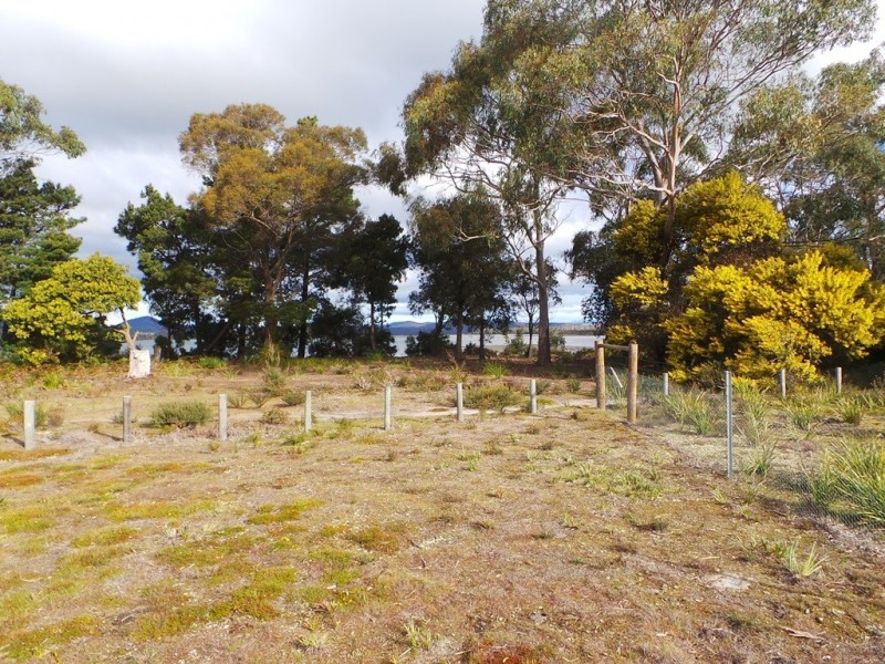 142 Charles Street, Squeaking Point TAS 7307