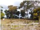 142 Charles Street, Squeaking Point TAS 7307