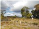 142 Charles Street, Squeaking Point TAS 7307