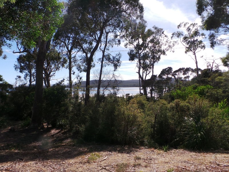 47 Squeaking Point Esplanade, Squeaking Point TAS 7307