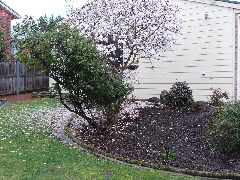 5 Dumbleton Street, Hawley Beach TAS 7307