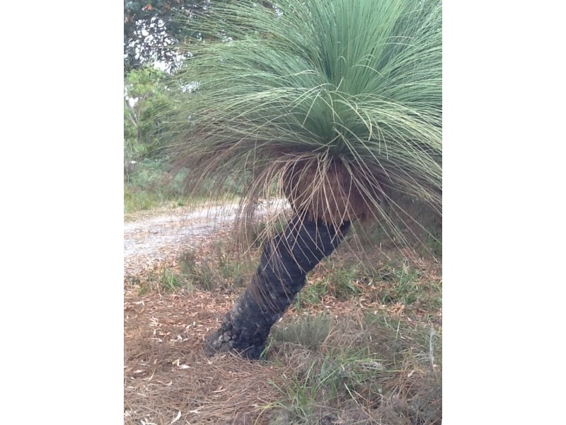 155 Marana Drive, Bakers Beach TAS 7307