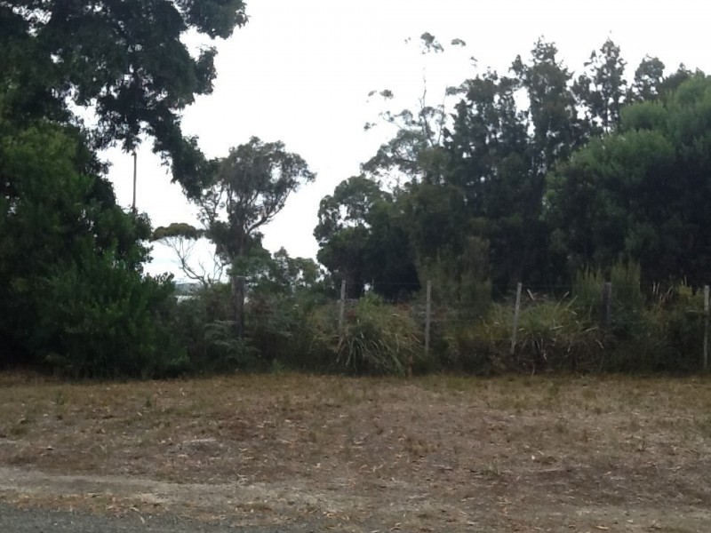 155 Marana Drive, Bakers Beach TAS 7307