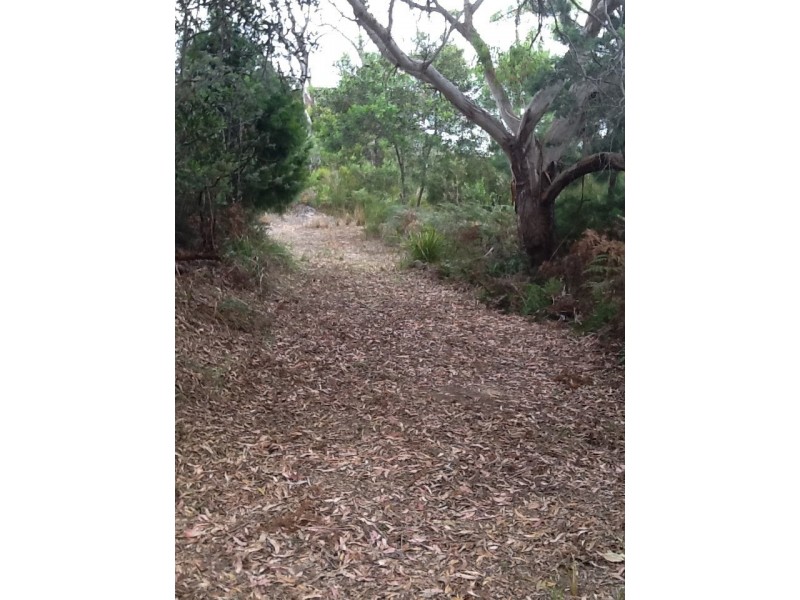 155 Marana Drive, Bakers Beach TAS 7307