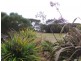 Hawley Beach TAS 7307