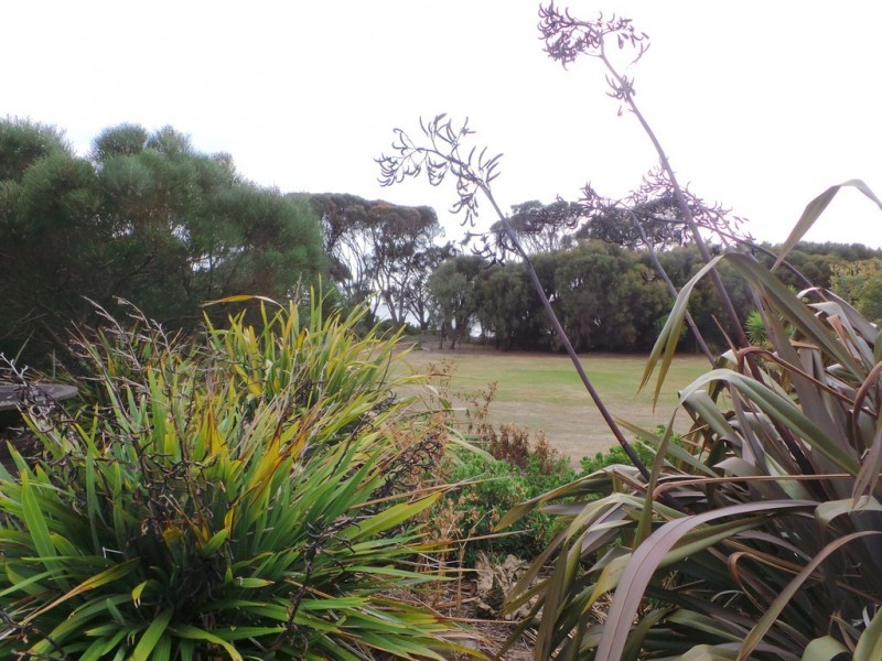 Hawley Beach TAS 7307