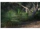 25 Marana Drive, Bakers Beach TAS 7307