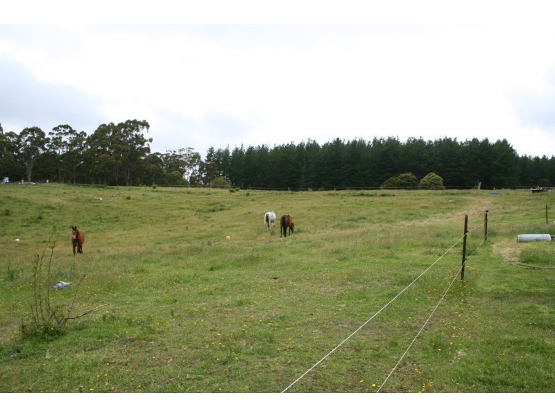 495 Smith and Others Rd, Sassafras TAS 7307