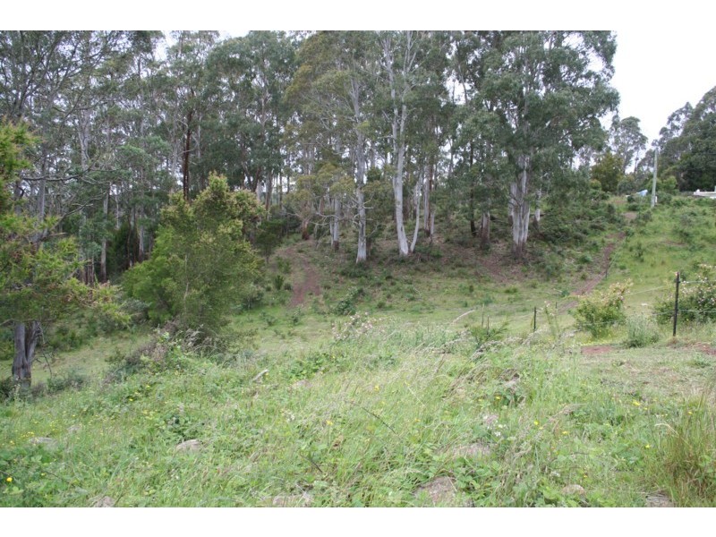 495 Smith and Others Rd, Sassafras TAS 7307