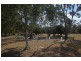 317 Appleby Road, Thirlstane TAS 7307