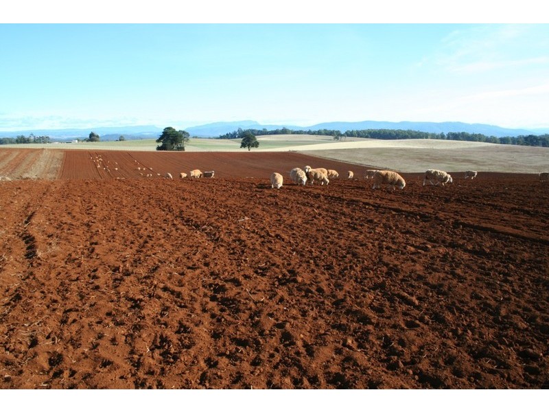 . Frankford Road, Wesley Vale TAS 7307