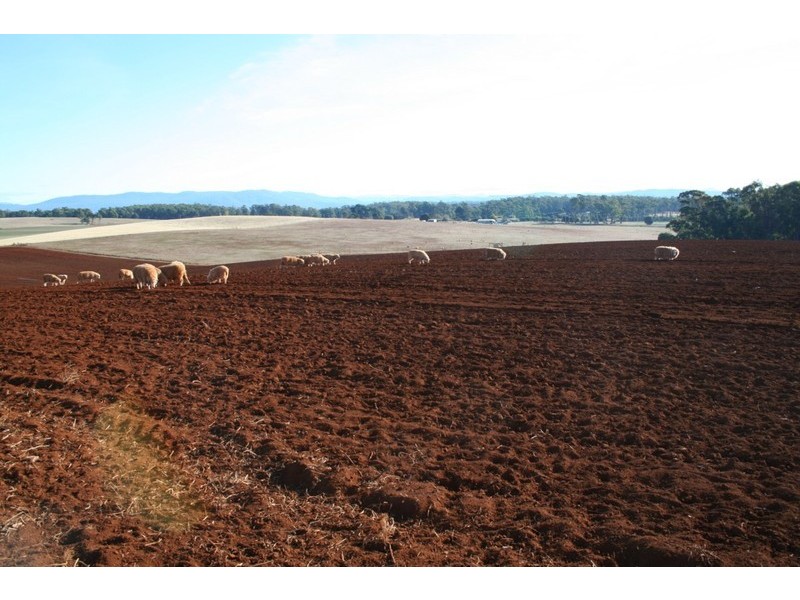 . Frankford Road, Wesley Vale TAS 7307
