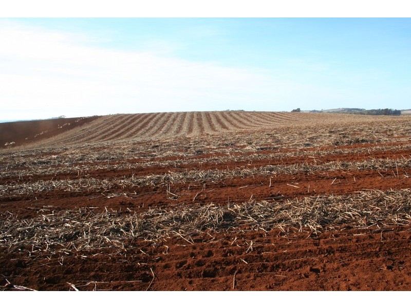 . Frankford Road, Wesley Vale TAS 7307