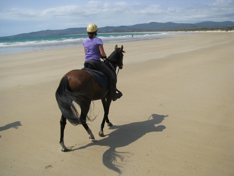 153 Marana Drive, Bakers Beach TAS 7307