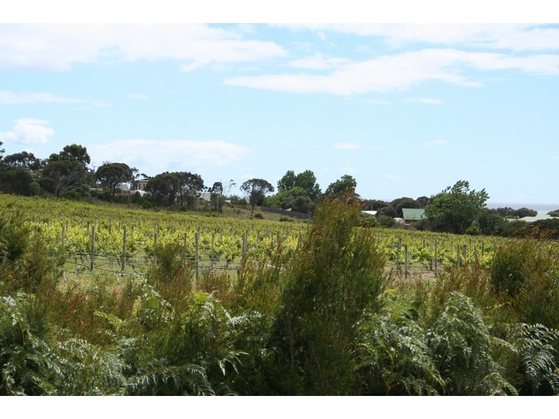 12 (lot 15) Cabernet Court, Hawley Beach TAS 7307