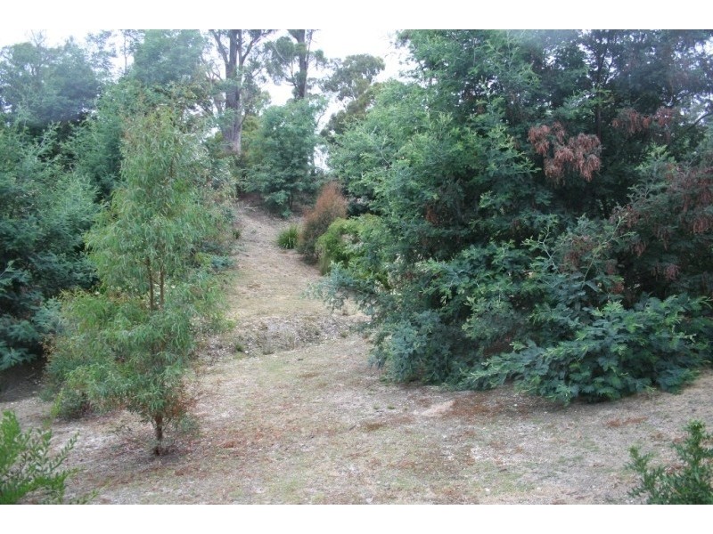 Lot 32354 Eagle Point Road, Bakers Beach TAS 7307